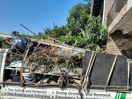 Retail Junk Removal in Cuthbert, GA