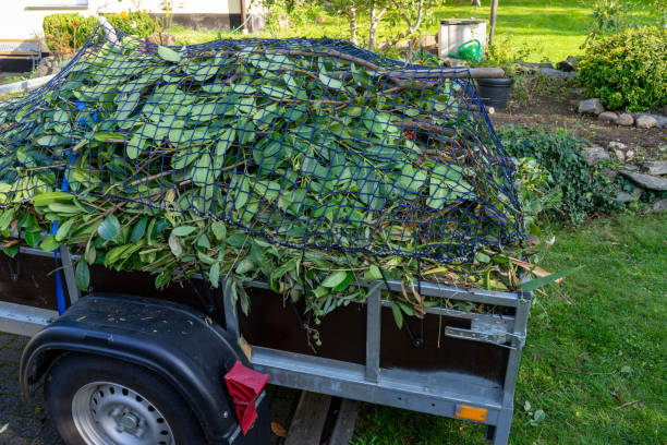Best Shed Removal  in Cuthbert, GA